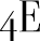 4EverBrand Logo